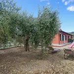3 Bedroom Cozy In * إمبيريا